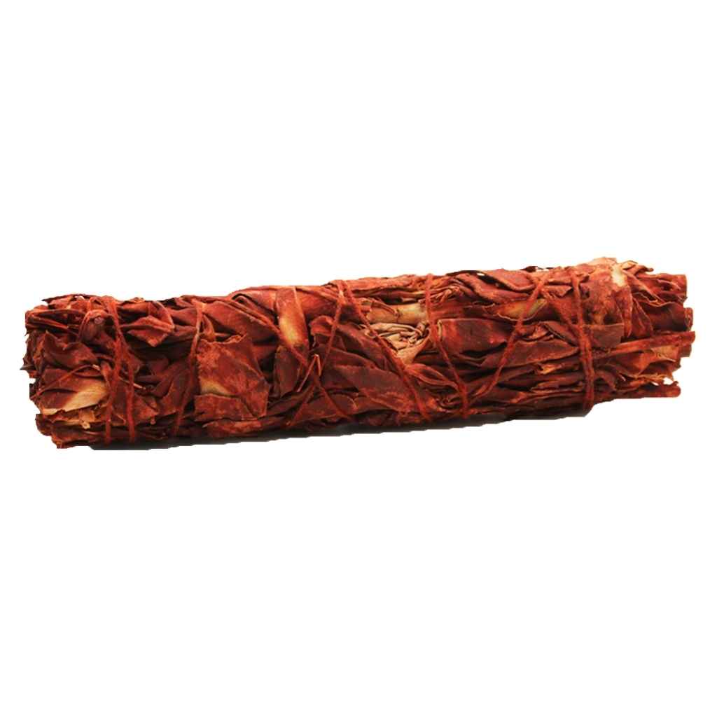15cm dragons blood sage smudge stick against a plain white background. The dragons blood sage smudge stick is bound with red  twine.