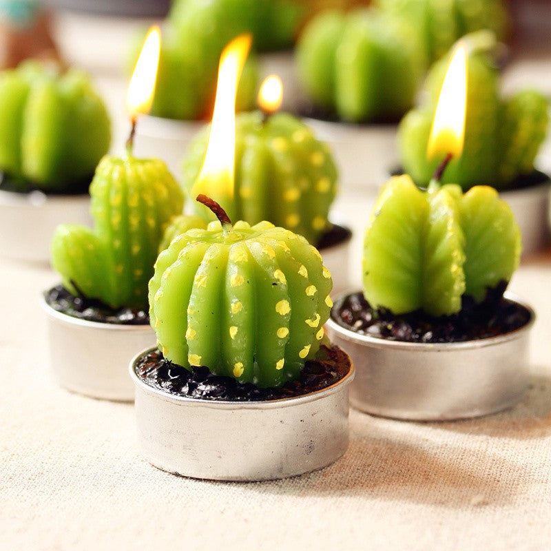 Set of 6 Cactus Tealights in Gift Box | 3 Varieties