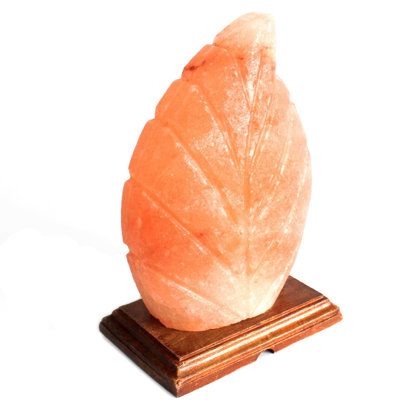 Pink Himalayan Salt | Lamp | Fern