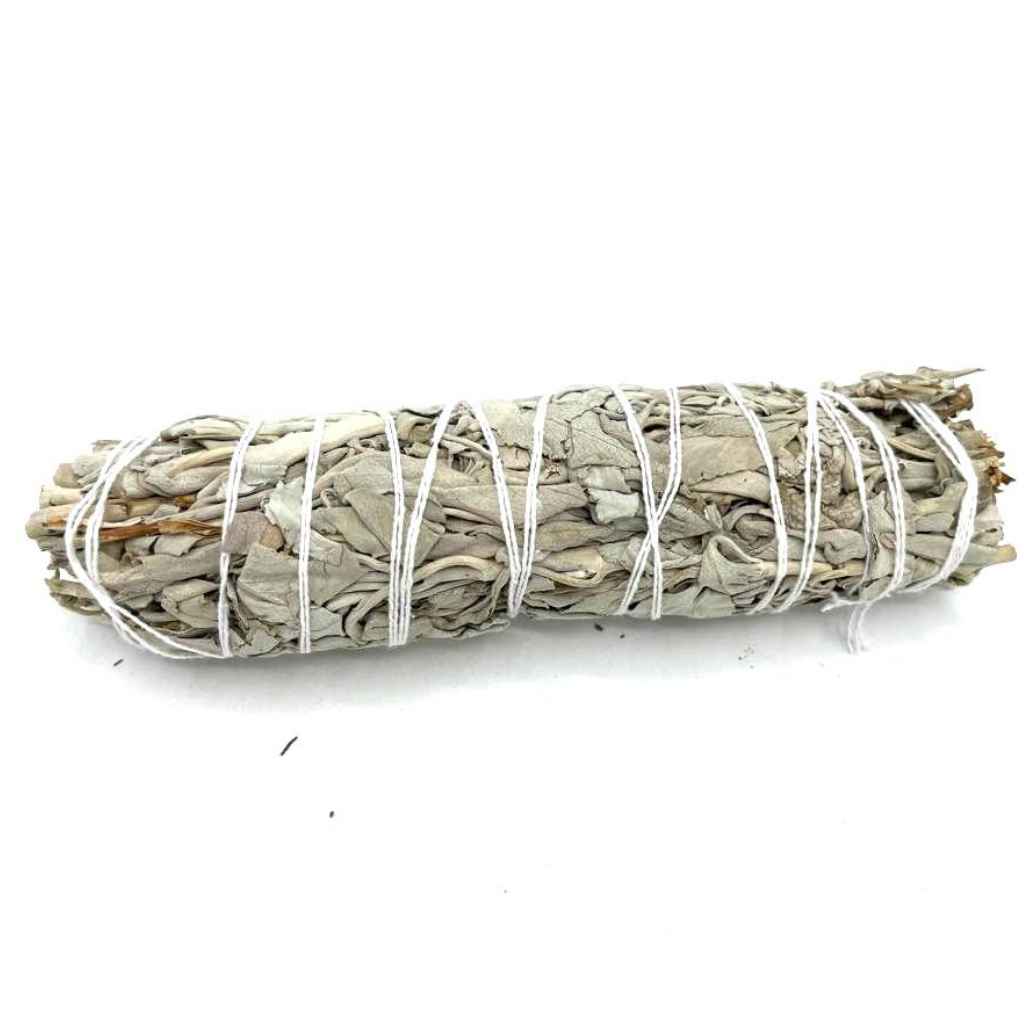 15cm white sage smudge stick against a plain white background. The smudge stick is unlit and is bound with white twine.