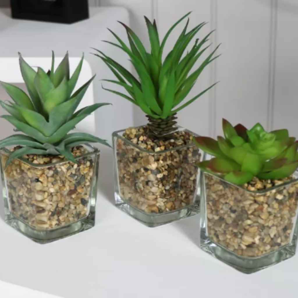 Succulents in Glass Pot | Artificial | Home Accessories