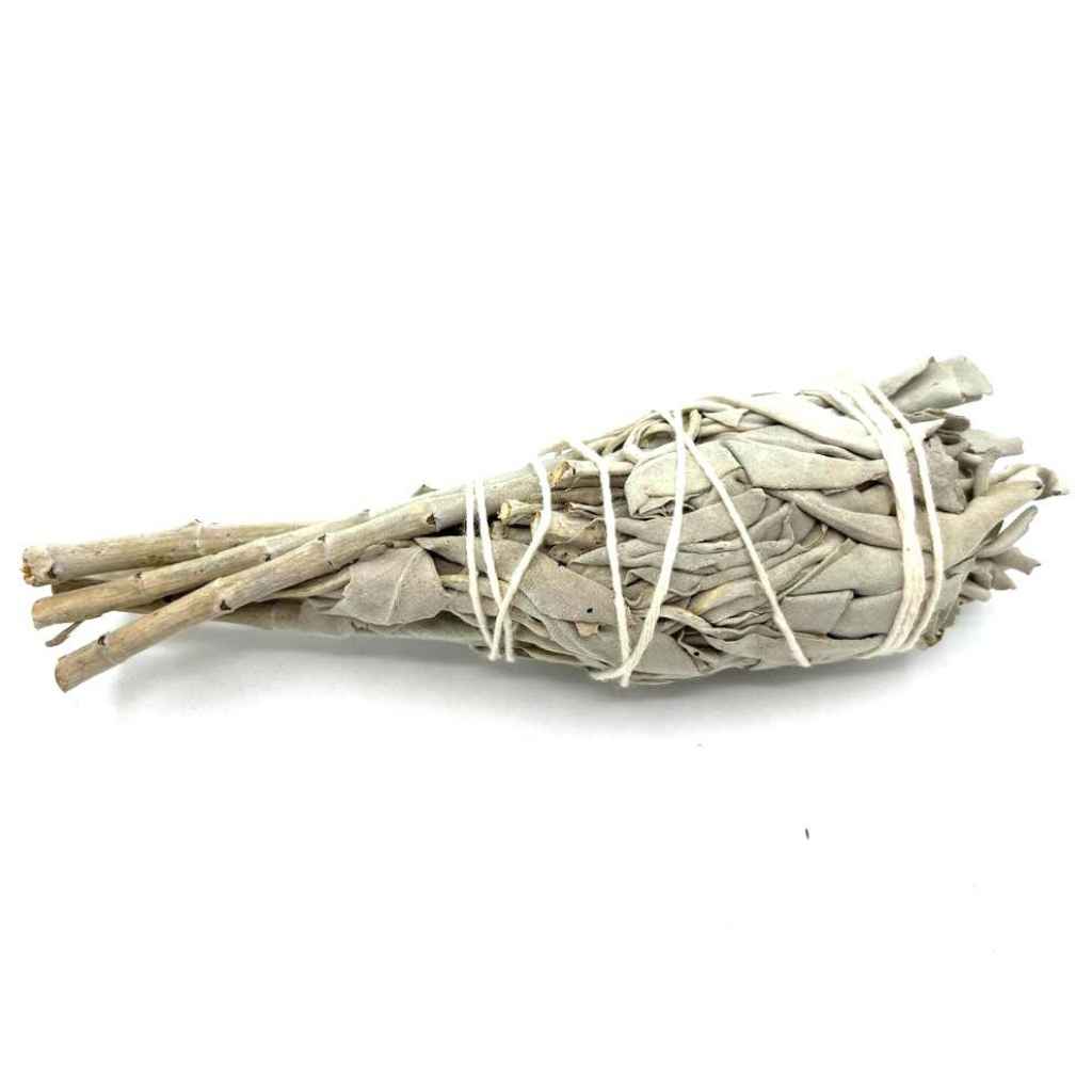 10cm white sage smudge stick torch. The smudge stick is unlit and is against a plain white background.