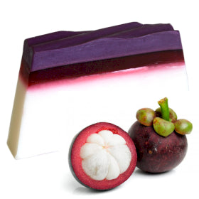 Taste of the Tropics Hand Crafted Soap | Slice & Loaf  | 6 fruit fragrances