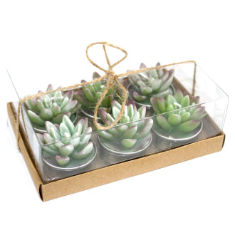 Set of 6 Cactus Tealights in Gift Box | 3 Varieties