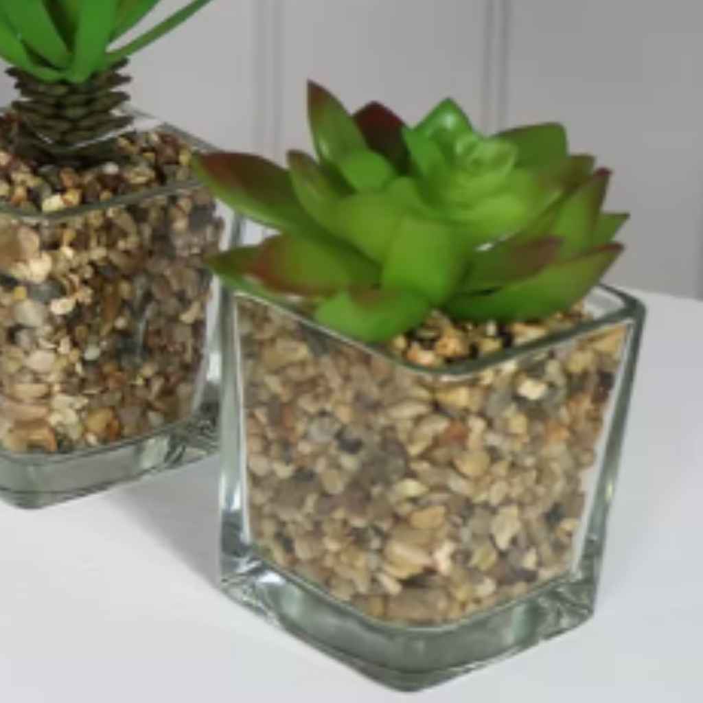 Succulents in Glass Pot | Artificial | Home Accessories