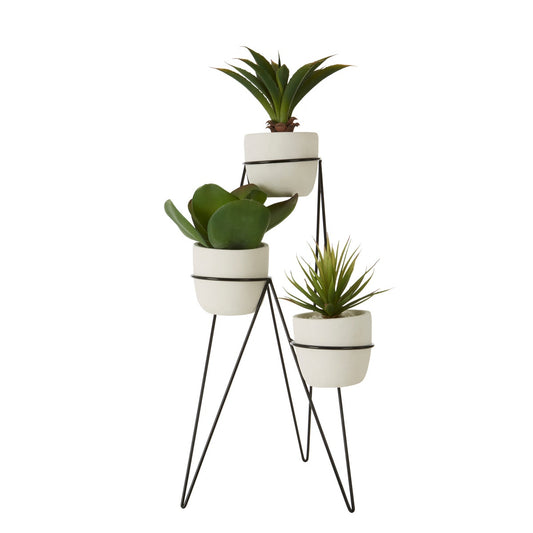 Fiori Set Of 3 Succulents With Metal Stand