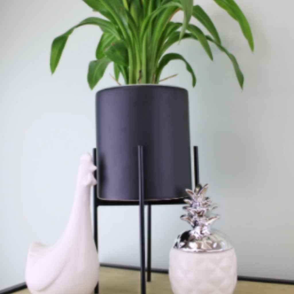 Adjustable Plant Pot | Black | Iron Stand | 2 sizes