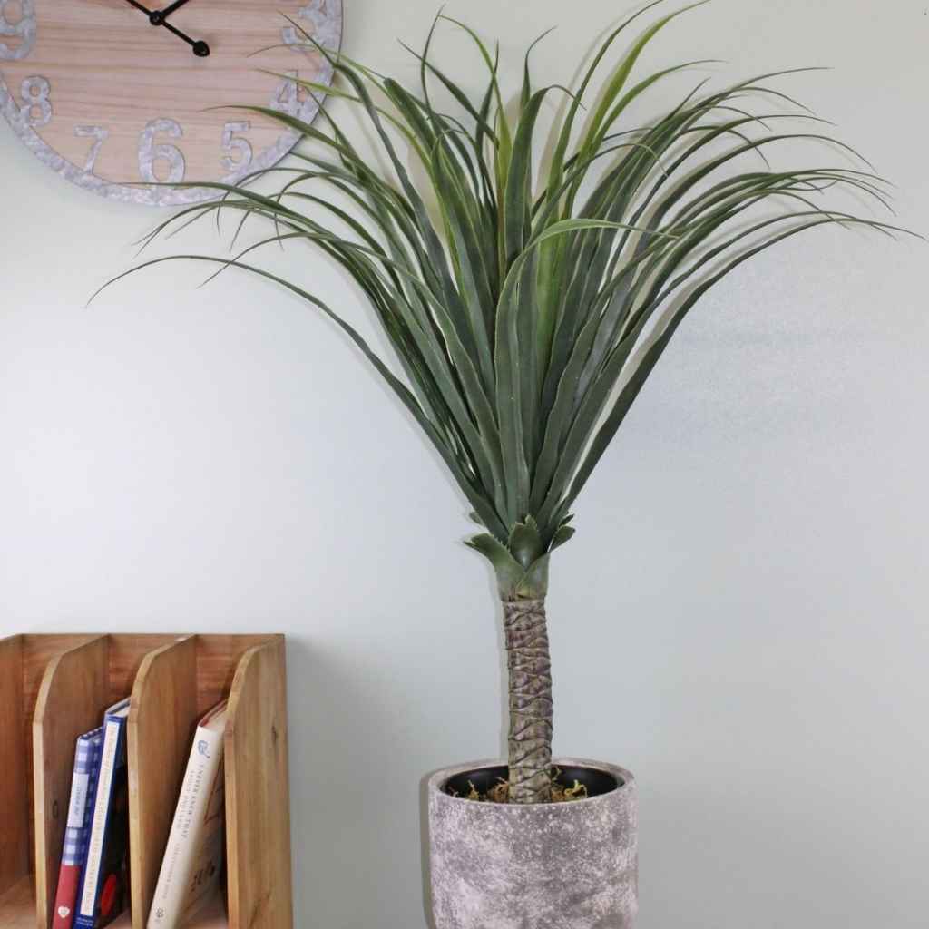 Realistic looking faux plastic yucca, 90 cm tall including the pot. The yucca is next to  wall clock and is against the wall. The faux yucca is in a white/grey marbled plant pot next to a book shelf.